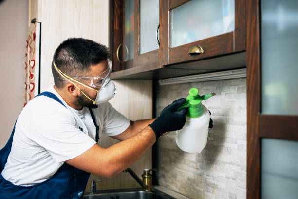 Best Residential Pest Control  in Cherry Brah, NC