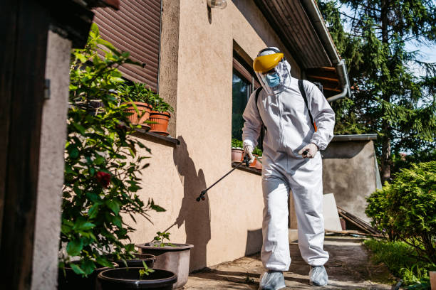 Best Insect Control  in Cherry Brah, NC