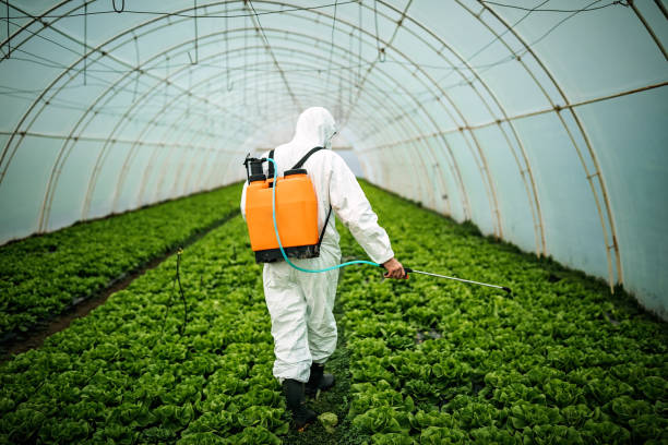 Best Affordable Pest Control Services  in Cherry Brah, NC