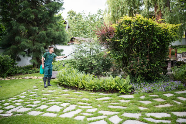 Best Best Pest Control Companies  in Cherry Brah, NC