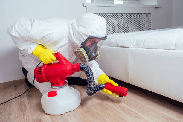 Best Pest Inspection Near Me  in Cherry Brah, NC