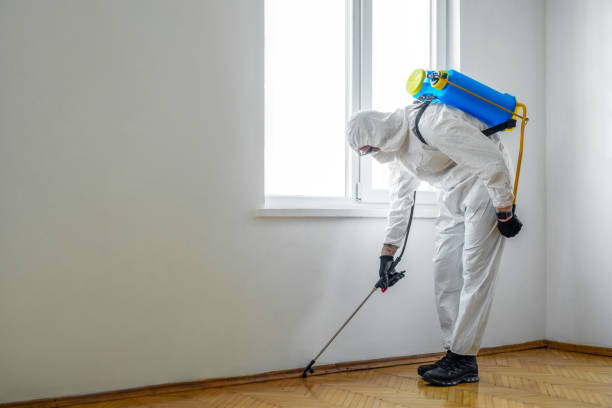 Best Pest Prevention Services  in Cherry Brah, NC