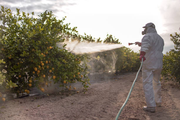 Best Commercial Pest Control Services  in Cherry Brah, NC