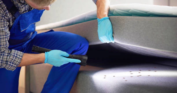Best Bed Bug Extermination  in Cherry Brah, NC