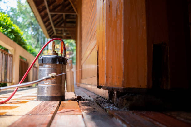 Best Termite Control Services  in Cherry Brah, NC