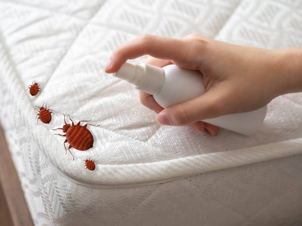 Best Exterminator Services  in Cherry Brah, NC