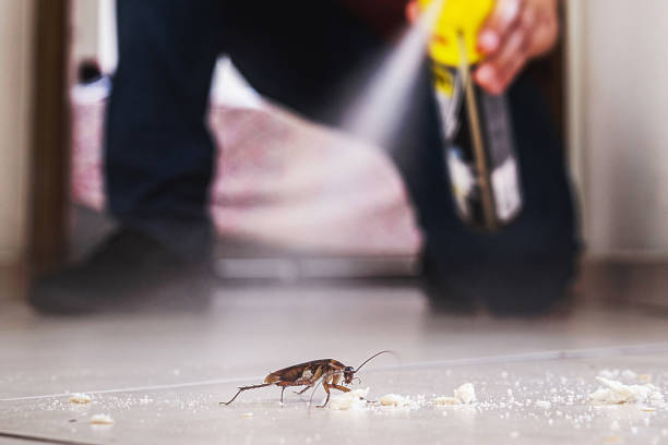 Best Wildlife Control Services  in Cherry Brah, NC