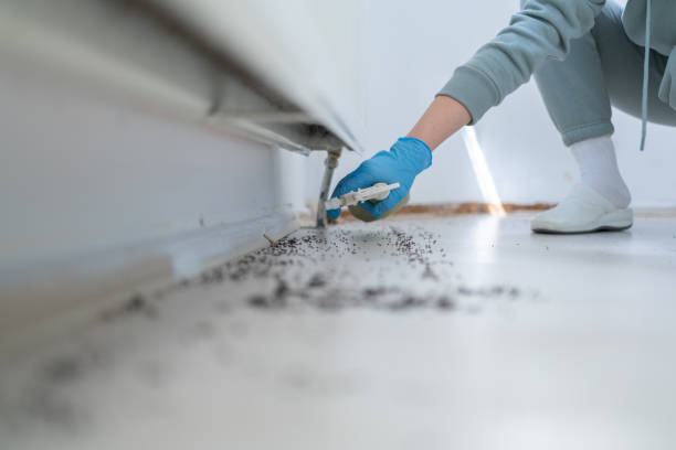Pest Control Cost in Cherry Branch, NC
