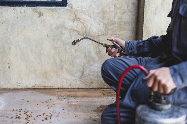 Best Best Pest Control Companies  in Cherry Brah, NC