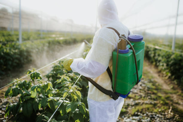 Best Termite Control Services  in Cherry Brah, NC
